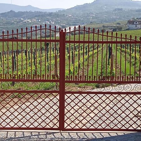 Quinta Do Passadico Villa Ламего Екстериор снимка