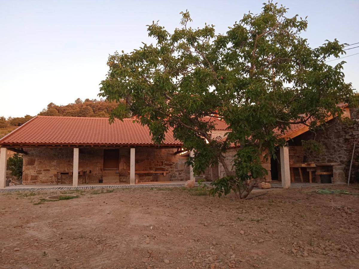 Quinta Do Passadico Villa Ламего Екстериор снимка