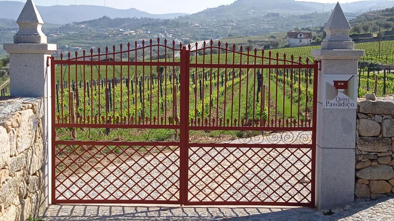 Quinta Do Passadico Villa Ламего Екстериор снимка