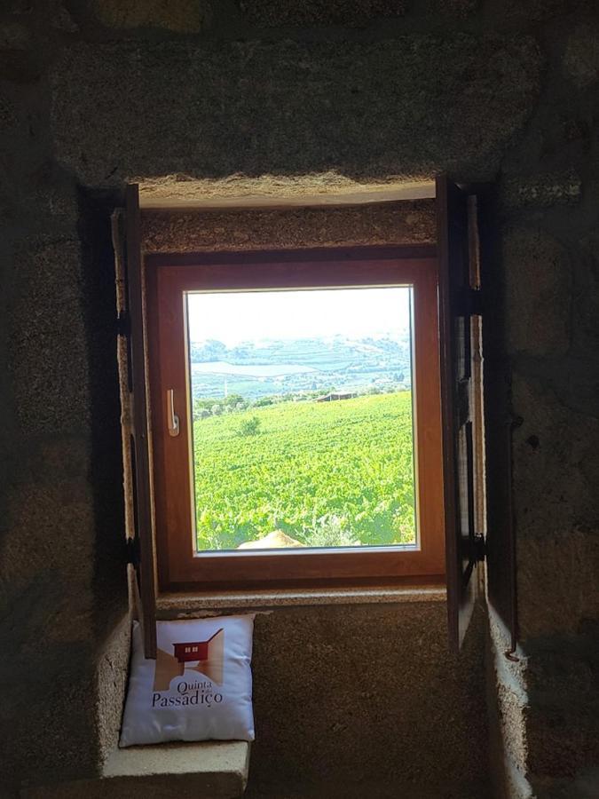 Quinta Do Passadico Villa Ламего Екстериор снимка